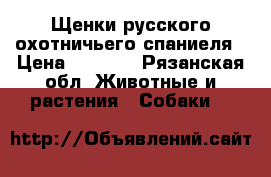 Щенки русского охотничьего спаниеля › Цена ­ 5 000 - Рязанская обл. Животные и растения » Собаки   